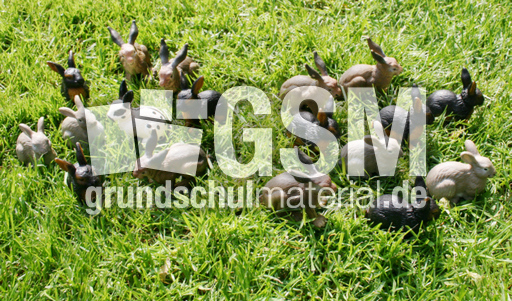 Kaninchen-18-9.jpg